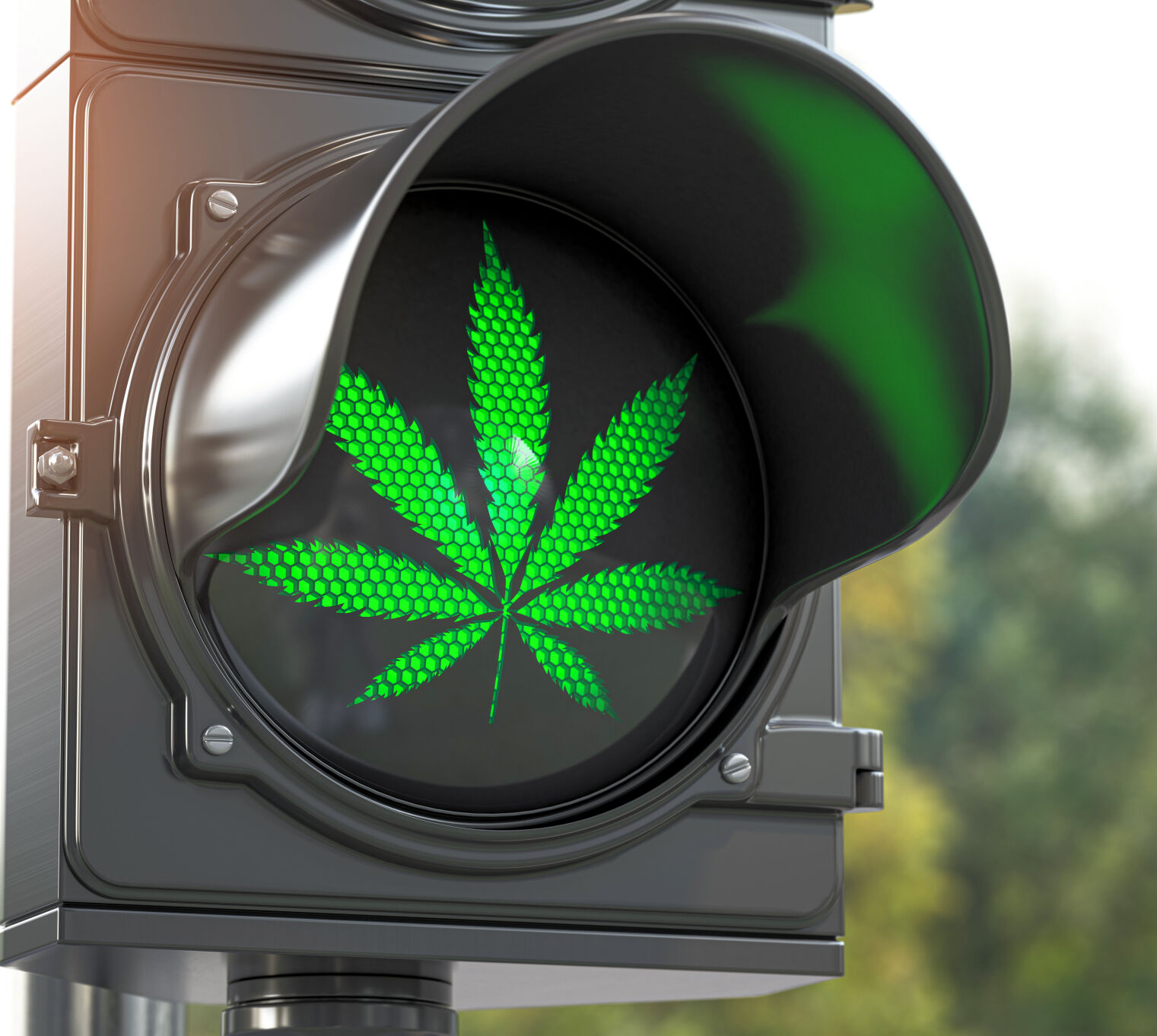 CANNABIS GREEN LIGHT